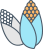 바이오