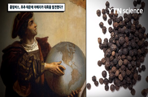 콜럼버스, 후추 때문에 아메리카 대륙을 발견했다?