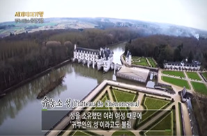 절대 왕정을 만나다