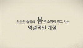 모란이 피기까지는 (김영랑)
