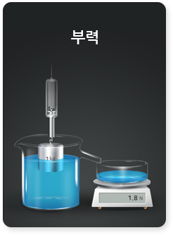 부력