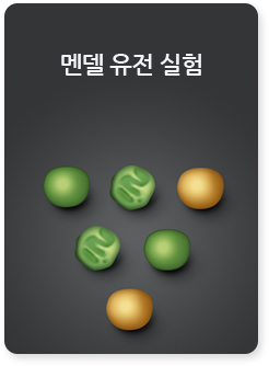 멘델 유전 실험