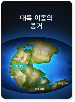 대륙 이동의 증거